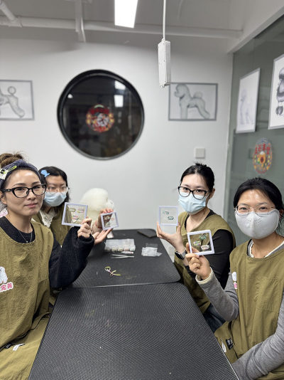 上海教学点