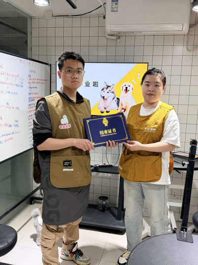 上海教学点