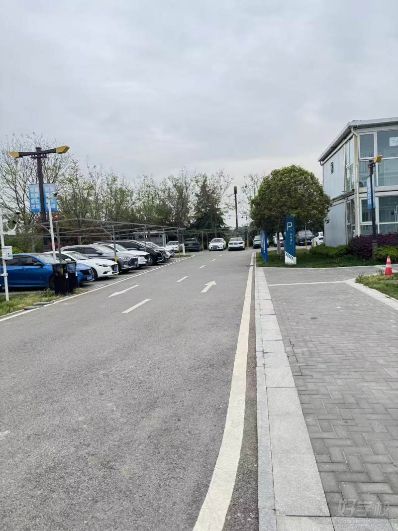 场地
