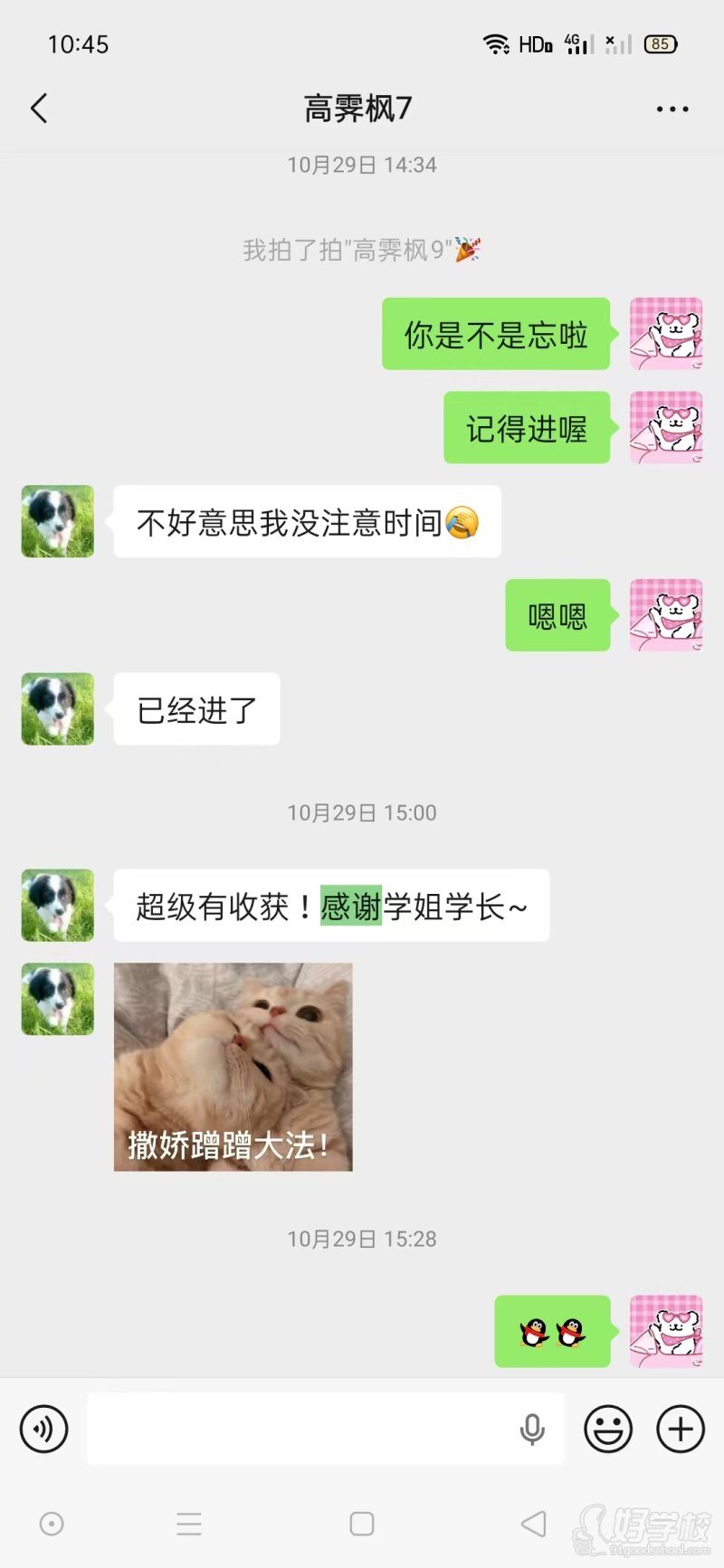学员反馈11