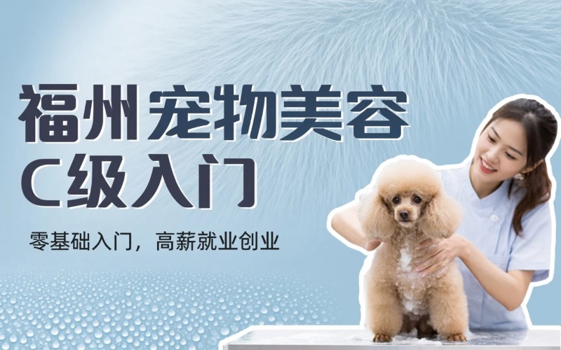 福州宠物美容护理c级入门级