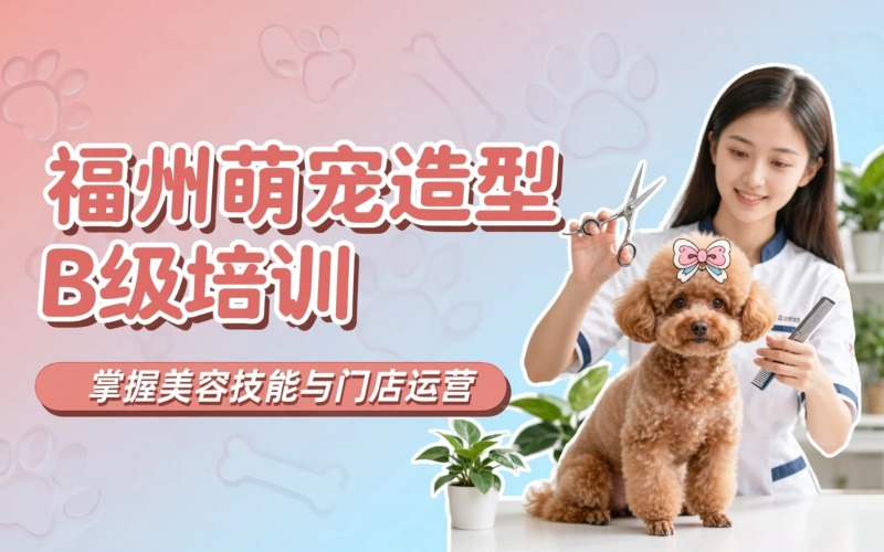 福州宠物萌系创意造型B级专业培训班