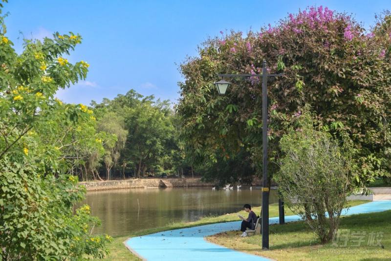 环湖步道