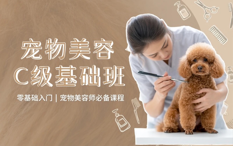 长沙宠物美容C级基础培训班