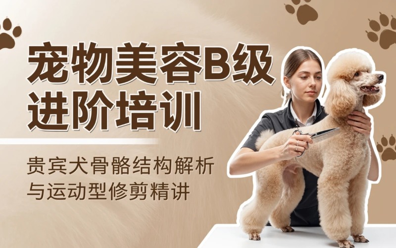 长沙宠物美容B级进阶培训班