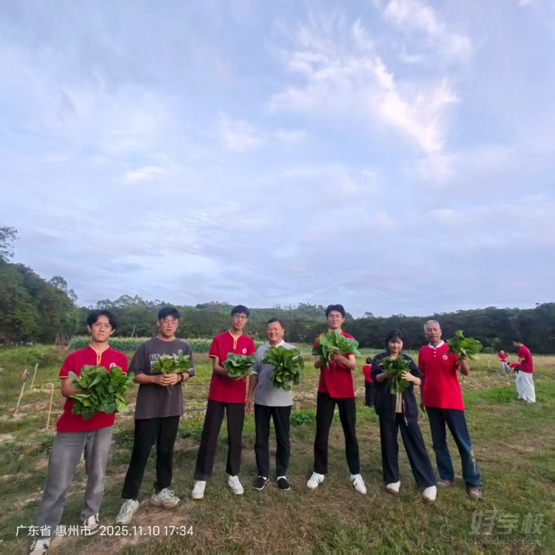 活动3