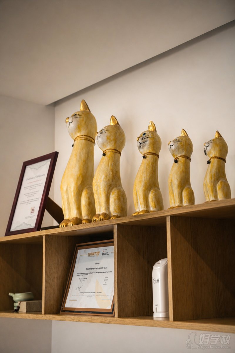 部分授权展示