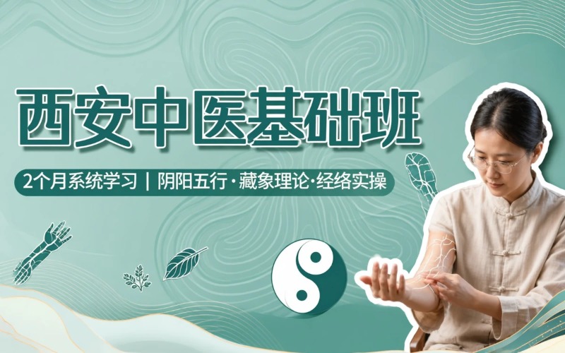 西安中医基础理论系统班