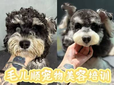 杭州校区