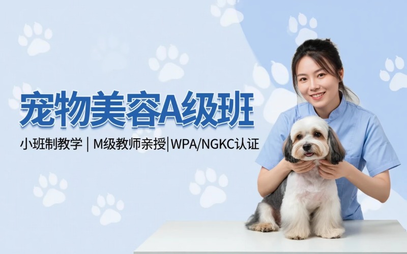 无锡宠物美容培训A级班课程