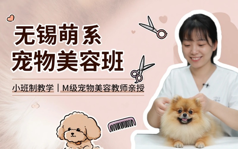无锡宠物美容培训萌系班课程