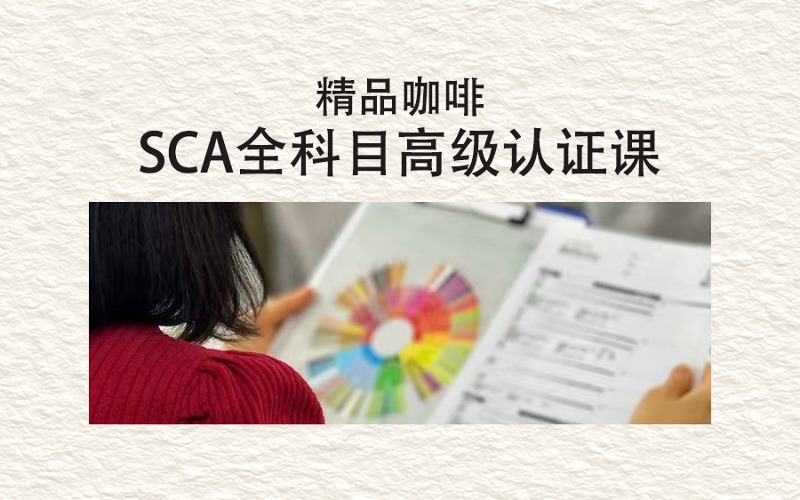 咖啡师SCA全科目高级认证课