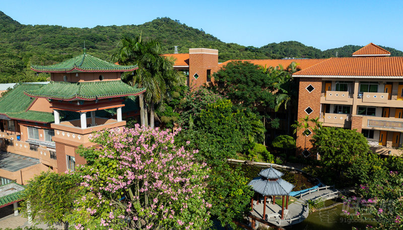 风景4