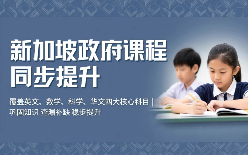 新加坡政府课程同步提升项目
