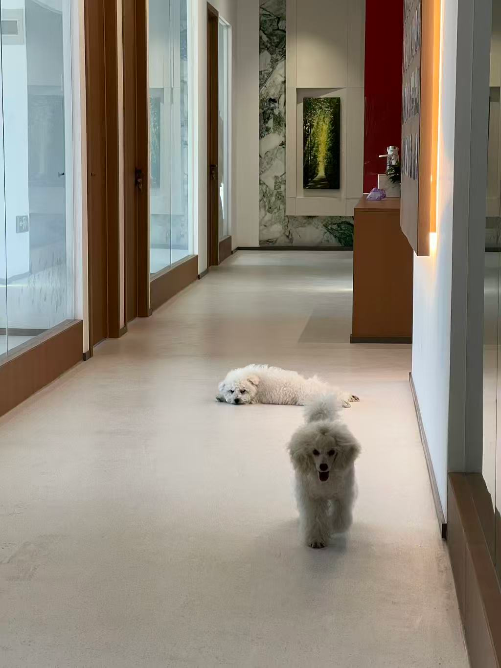 徐州校区