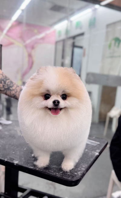 徐州校区