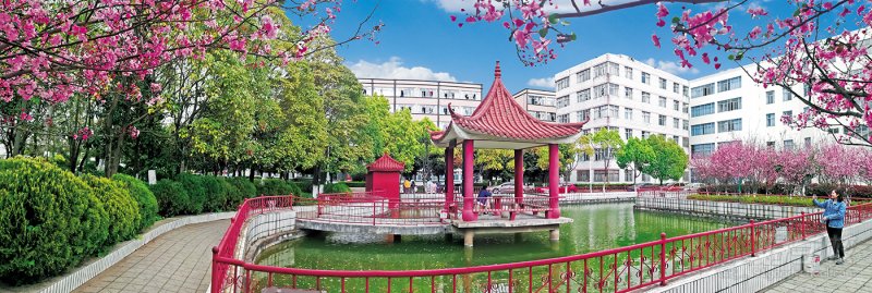 环境13