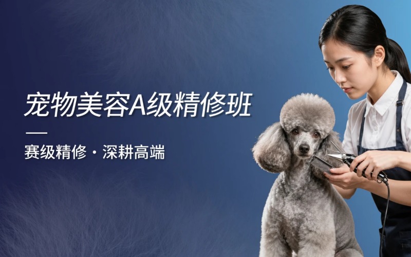 太原专业宠物美容培训A级班