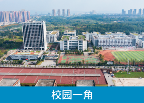 重庆校区