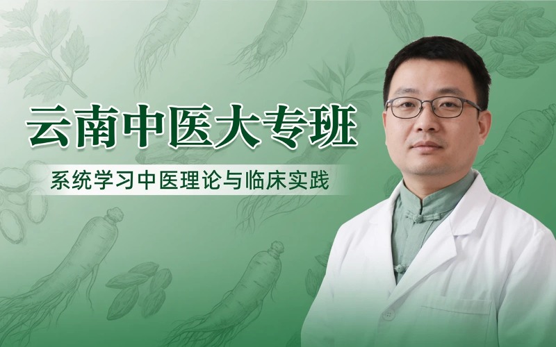 云南中医学全日制大专班
