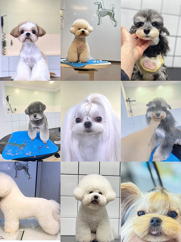 教学现场1