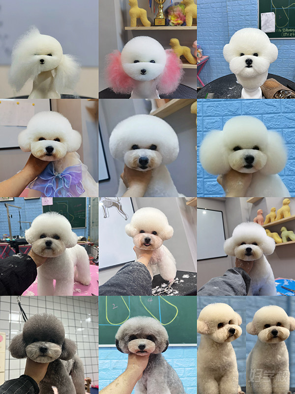 教学现场3