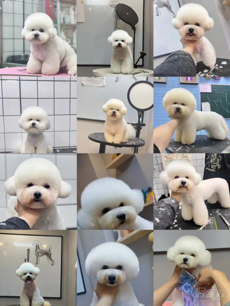 教学现场5