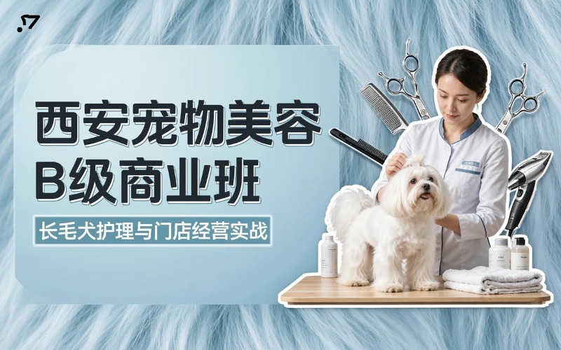 西安宠物美容B级商业班