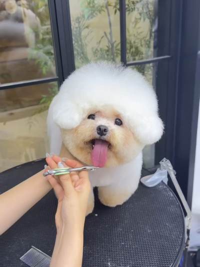 金水校区