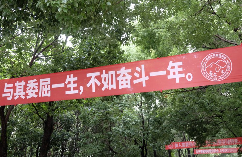 环境5