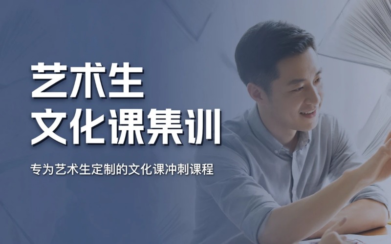 浙江艺术生文化课集训班