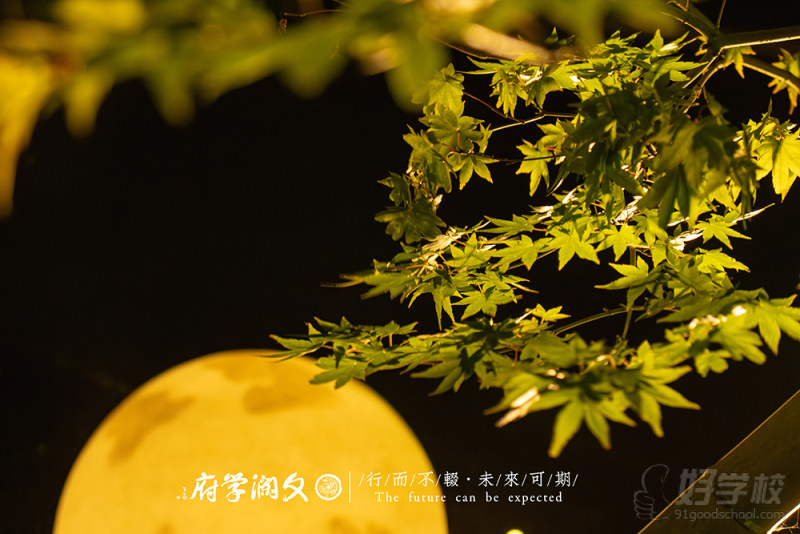 校园一角3