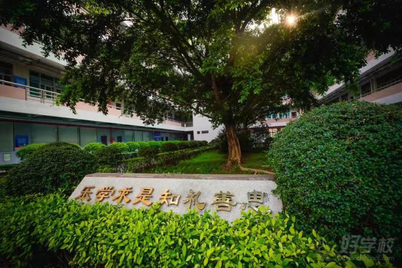 机构环境