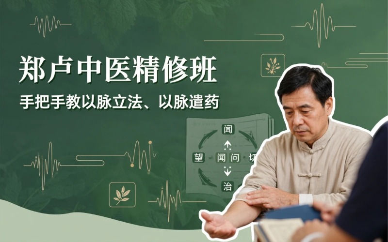 尚善郑卢中医提升课程