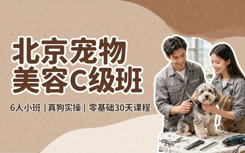 北京宠物美容C级标准班