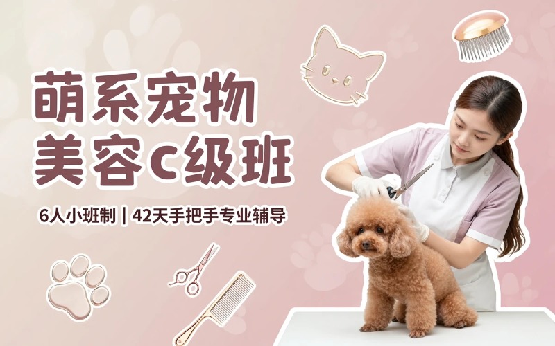 北京宠物美容C级萌系班