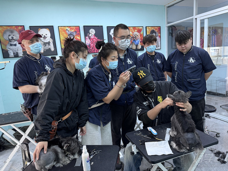 教学现场