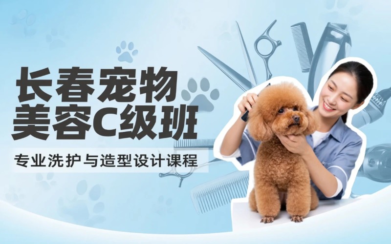 长春宠物美容护理C级专业班