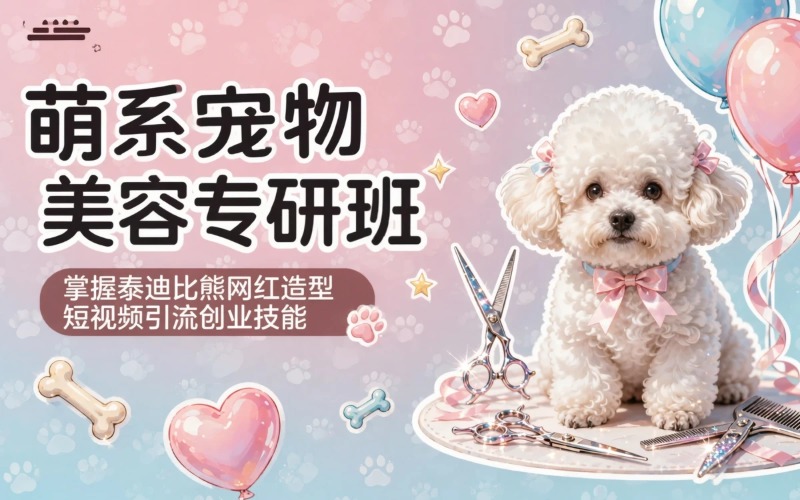 长春宠物美容高级萌系专研班