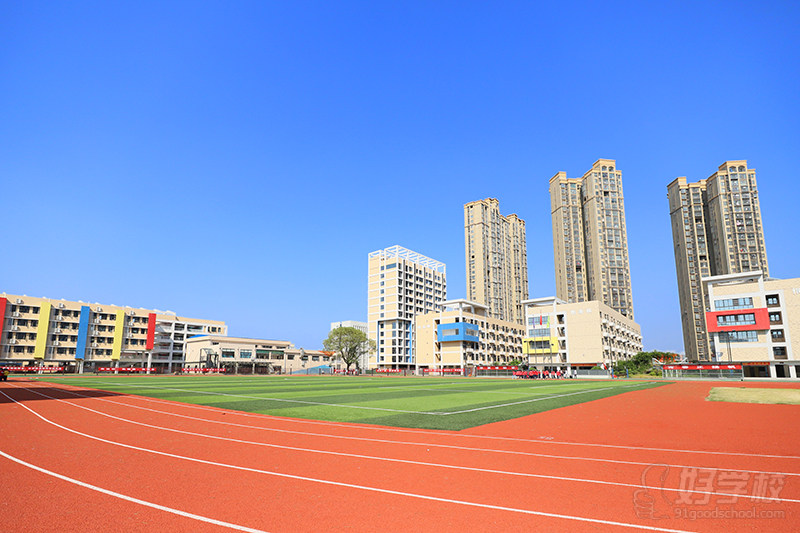 学校环境11