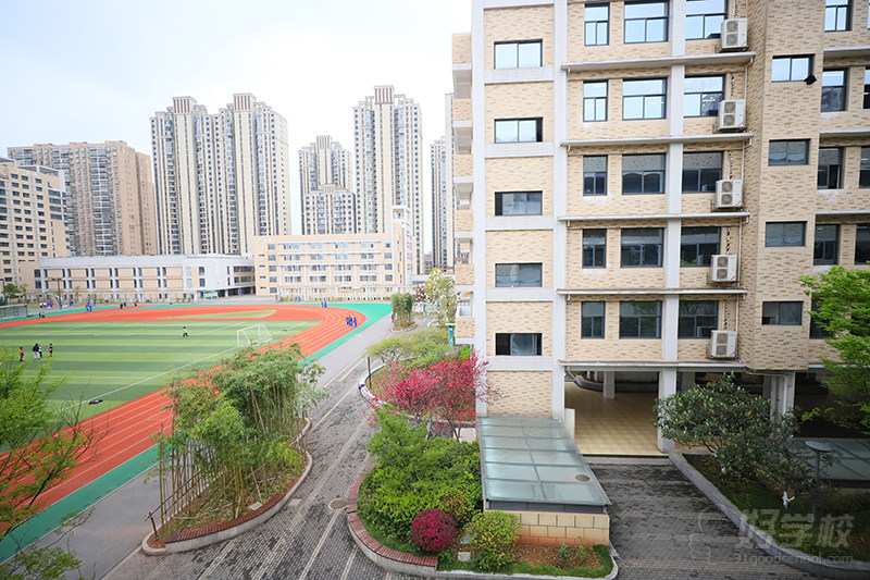 学校环境20