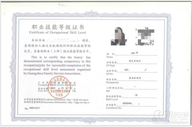教学成果