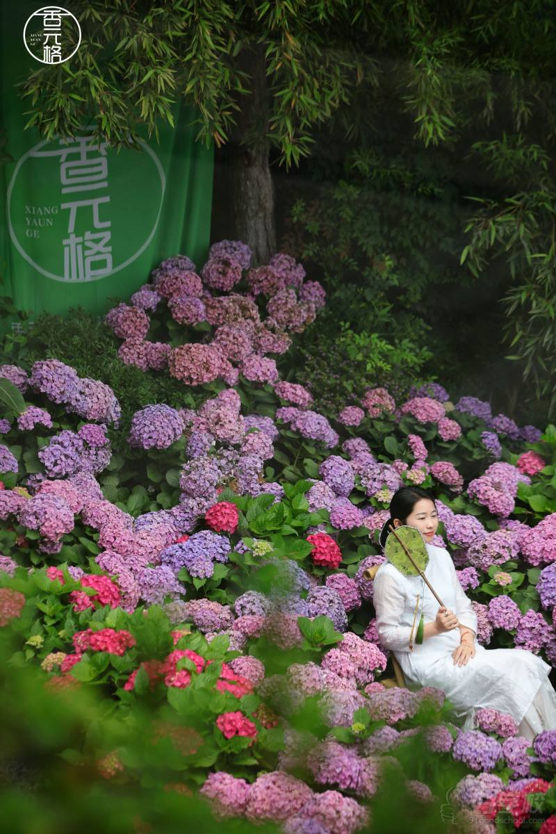 机构环境