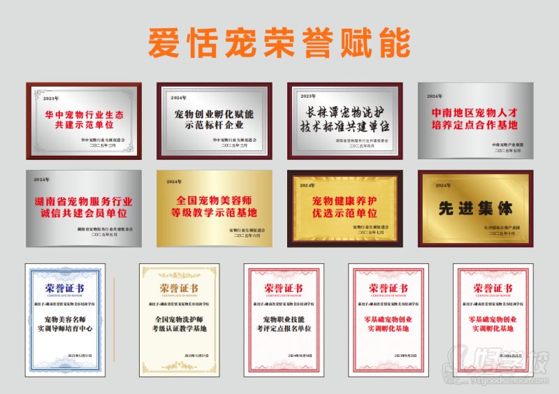 机构荣誉