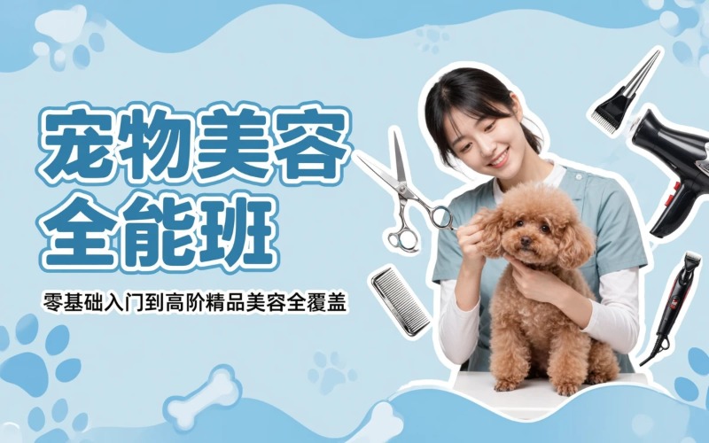长沙宠物美容标准C级/B级/萌系培训班