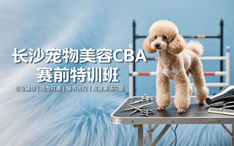 长沙宠物美容CBA赛前辅导班级班