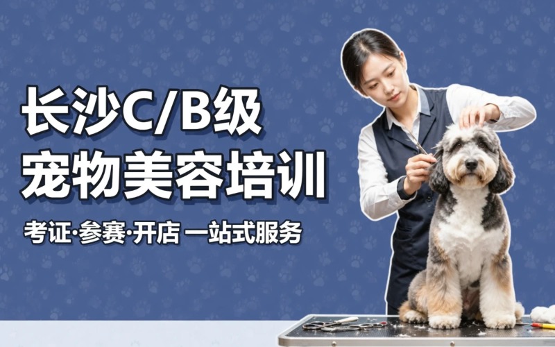 长沙加强C级/B级培训班