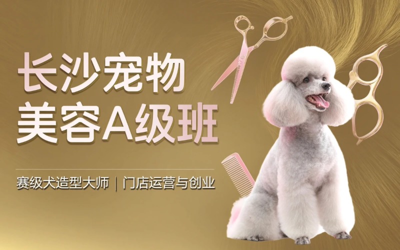 长沙宠物美容A级标准班
