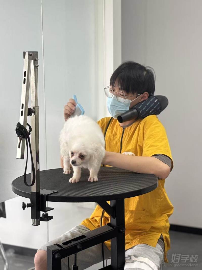 实操现场