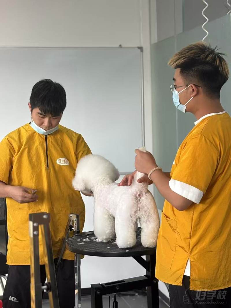 实操现场